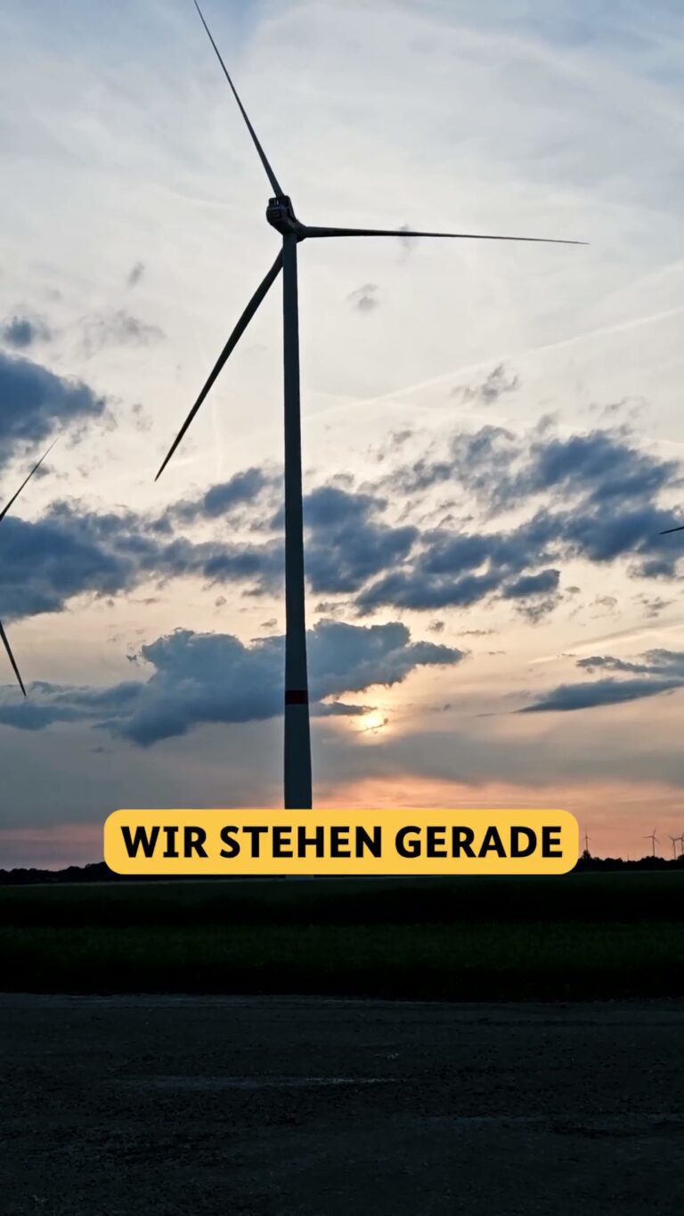Vertrauen: Das Fundament erfolgreicher Projekte